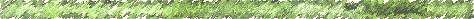 bar31.gif (464 bytes)